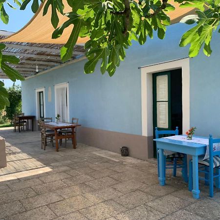 Le Cernicole Villa Melissano Bagian luar foto