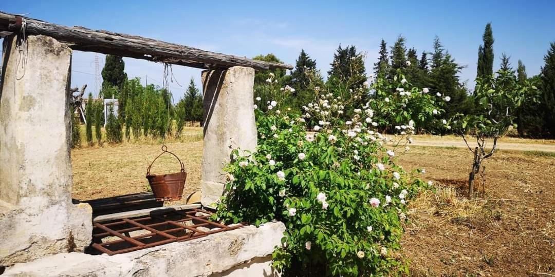 Le Cernicole Villa Melissano Bagian luar foto